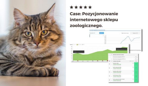 Case Promocja sklepu internetowego z artykułami dla zwierząt