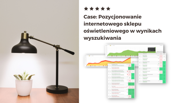 Case Pozycjonowanie sklepu internetowego lamp